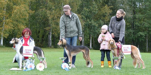 Iiris 1. CC, Kharmen 2. CC + CACIL and Liam vet 1. CC